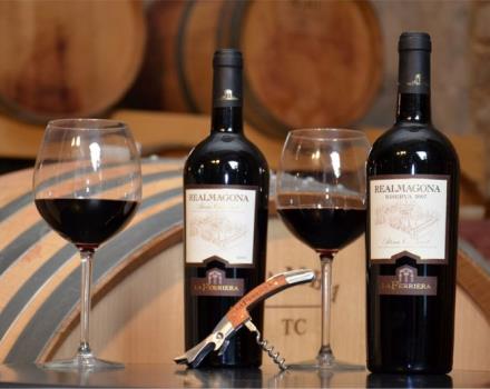 Try the wine at the Best Western Hotel Rocca and discover the flavours of Cassino