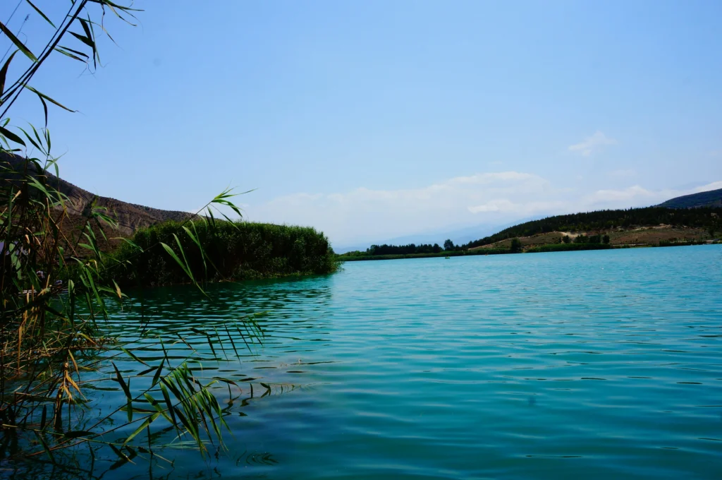Image of Lake Posta Fibreno: in the foreground, the lake surface and typical vegetation, and in the background, a green area with woods.